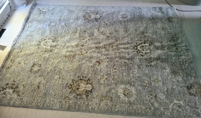 7x10 Area Rug - Grey Distressed Floral, Style Selections Blair